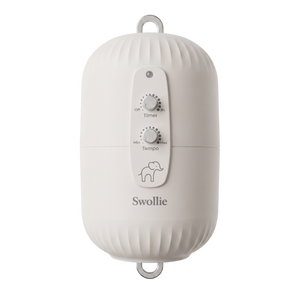Swollie Motor Mieten